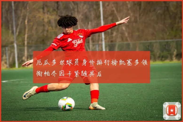 厄瓜多尔球员身价排行榜凯塞多领衔帕乔因卡紧随其后